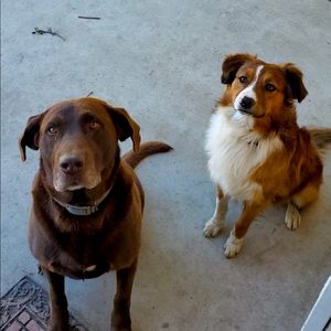 Meet your Posher, Annaline